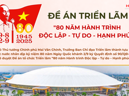 Tổ chức triển lãm 