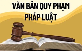 Rà soát văn bản quy phạm pháp luật thực hiện Luật Thủ đô