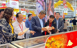 Vice Chairman Nguyen Manh Quyen review Tet goods supply