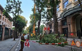Khẩn trương triển khai công tác ứng phó với bão số 11