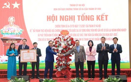 Hoai Duc, Dong Anh, and Thanh Oai recognized for meeting advanced new rural standards