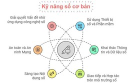 Khung kiến thức, kỹ năng số cơ bản và hướng dẫn đánh giá, xác nhận là nền tảng quan trọng thúc đẩy chiến lược số quốc gia