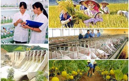 Tăng cường công tác Tổng điều tra nông thôn, nông nghiệp năm 2025