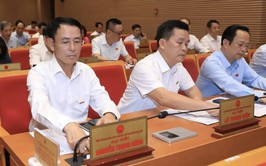 Hanoi approves policies to support agricultural zones affected by natural disasters