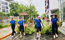 Hà Nội yêu cầu trường học chủ động ứng phó với bão số 3