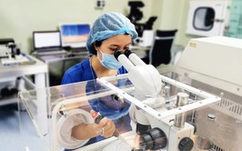 Thông tin tình hình dịch bệnh trên địa bàn thành phố Hà Nội từ (từ ngày 11/7 đến 17/7)