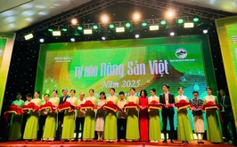 Sôi động 