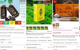 Triển khai Chương trình 