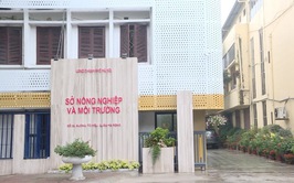 Quy định chức năng, nhiệm vụ, quyền hạn và cơ cấu tổ chức của Sở Nông nghiệp và Môi trường