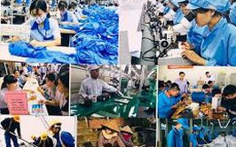 Công bố Danh mục TTHC mới ban hành, bị bãi bỏ lĩnh vực Việc làm