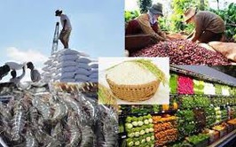 Ủy quyền giải quyết TTHC lĩnh vực Quản lý chất lượng nông lâm sản và thủy sản