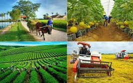 Công bố Danh mục thủ tục hành chính được sửa đổi, bổ sung trong lĩnh vực quy hoạch đô thị và nông thôn