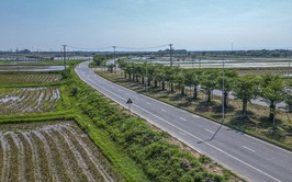 Tạm thông xe đường trục phía Nam gần 7km, giảm áp lực giao thông dịp Tết