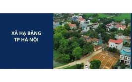 Tặng danh hiệu Cờ thi đua của UBND Thành phố cho Ban Xây dựng Đảng, Đảng ủy xã Hạ Bằng