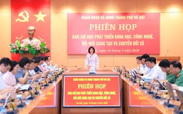 Digital transformation in elected bodies enhances governance capacity and public service quality