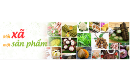 Triển khai thực hiện Chương trình Mỗi xã một sản phẩm