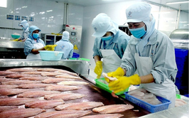 Chấn chỉnh công tác kiểm soát giết mổ, tăng cường kỷ luật, kỷ cương trong thực thi công vụ