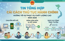 Tin tổng hợp lĩnh vực Thủ tục hành chính từ ngày 13/04 đến ngày 17/04