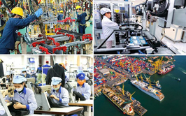 Khảo sát, thu thập thông tin và chuẩn hóa dữ liệu thị trường lao động
