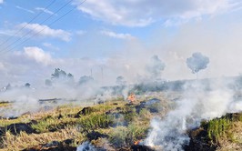 Triển khai quyết liệt các biện pháp nhằm chấm dứt tình trạng đốt rơm rạ