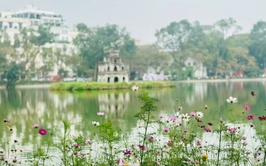 Tăng cường bảo đảm trật tự đô thị, vệ sinh môi trường, trang trí nghệ thuật tại các không gian công cộng và vườn hoa
