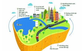 Đề án “Xử lý úng ngập khu vực nội thành Hà Nội, giai đoạn 2026-2030”
