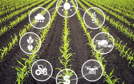 Hanoi applies IoT in smart agriculture