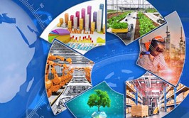 Bản tin Chuyển động Hà Nội ngày 11/6