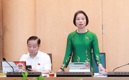 Nhiều ý kiến đóng góp về phát triển kinh tế đêm, đảm bảo cân đối nguồn lực phát triển