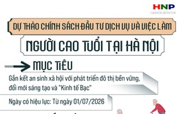 Dự thảo chính sách đầu tư dịch vụ và việc làm người cao tuổi tại Hà Nội