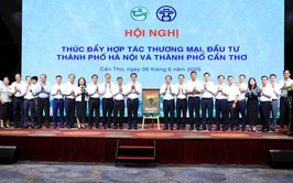 Hanoi and Cantho deepen partnerships to drive investment and trade