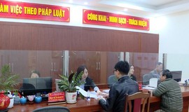 Hà Nội ban hành 28 thủ tục hành chính nội bộ trong lĩnh vực nông nghiệp và môi trường