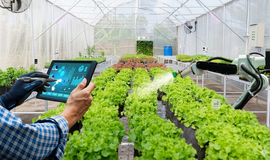 Hà Nội ban hành Kế hoạch ứng dụng IoT trong nông nghiệp thông minh
