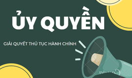Hà Nội: Ủy quyền giải quyết thủ tục hành chính về kiểm tra chất lượng hàng hóa nhập khẩu