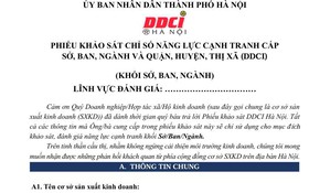 Phê duyệt Bộ chỉ số và Mẫu phiếu đánh giá năng lực cạnh tranh cấp sở, cấp huyện