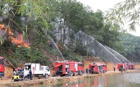 Ngành Kiểm lâm Hà Nội: Nhiều đột phá trong cải cách hành chính