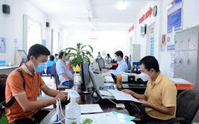 Công bố thủ tục hành chính nội bộ trong hệ thống hành chính nhà nước lĩnh vực Di sản, Văn hóa cơ sở, Mỹ thuật, Thông tin, Báo chí, Xuất bản