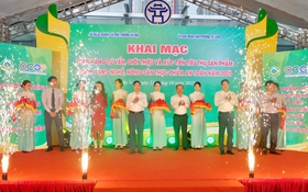 Giới thiệu và xúc tiến tiêu thụ sản phẩm OCOP, làng nghề, nông sản thực phẩm an toàn năm 2025