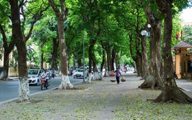 Thông tin chỉ đạo, điều hành của UBND Thành phố, Chủ tịch UBND thành phố Hà Nội (ngày 03/10/2025)