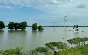 Hà Nội ứng phó lũ đặc biệt lớn trên sông Cầu, sông Cà Lồ