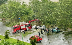 Chủ động ứng phó, khắc phục hậu quả thiên tai
