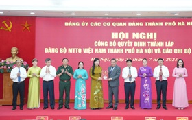Công bố quyết định thành lập Đảng bộ MTTQ Việt Nam Thành phố và các chi bộ trực thuộc