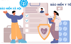 Kiện toàn Ban Chỉ đạo thực hiện chính sách Bảo hiểm xã hội, Bảo hiểm y tế