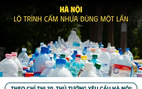 Hà Nội hướng đến loại bỏ hoàn toàn sản phẩm nhựa dùng một lần