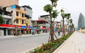 Điều chỉnh cục bộ Quy hoạch chi tiết Khu đô thị hai bên đường Lê Trọng Tấn