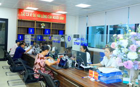 Triển khai Công điện số 127/CĐ-TTg về cải cách thủ tục hành chính