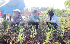 Phó Chủ tịch Thường trực HĐND Thành phố Phùng Thị Hồng Hà tham gia tổng vệ sinh môi trường tại phường Lĩnh Nam