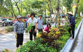 Phường Bạch Mai: Duy trì tổng vệ sinh môi trường định kỳ, thường xuyên