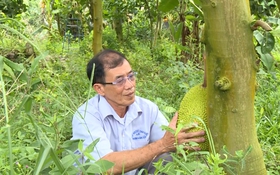 Phát huy vai trò người cao tuổi trong kỷ nguyên vươn mình của dân tộc