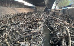 Sở Xây dựng Hà Nội thông tin về vụ cháy dưới gầm cầu Vĩnh Tuy